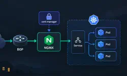 Featured image of post Exposing Kubernetes Pods externally with Ingress and TLS