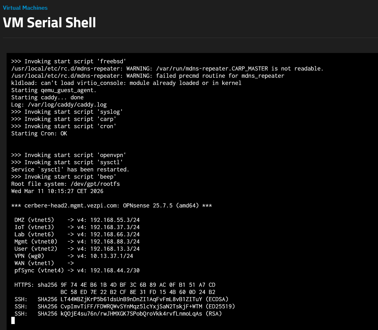 OPNsense booting successfully as a TrueNAS VM