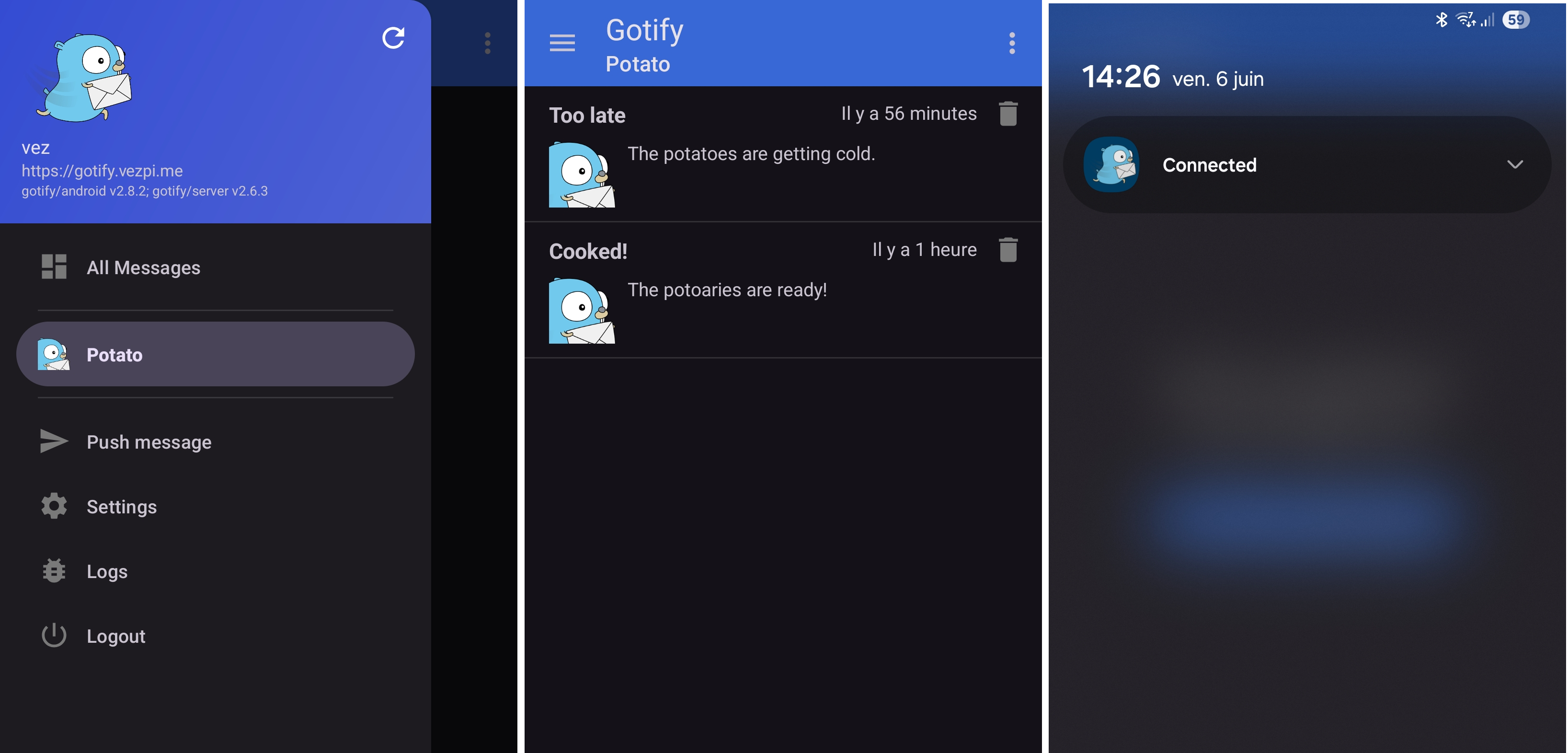 Capture d’écran de l’application Android Gotify avec les messages de test