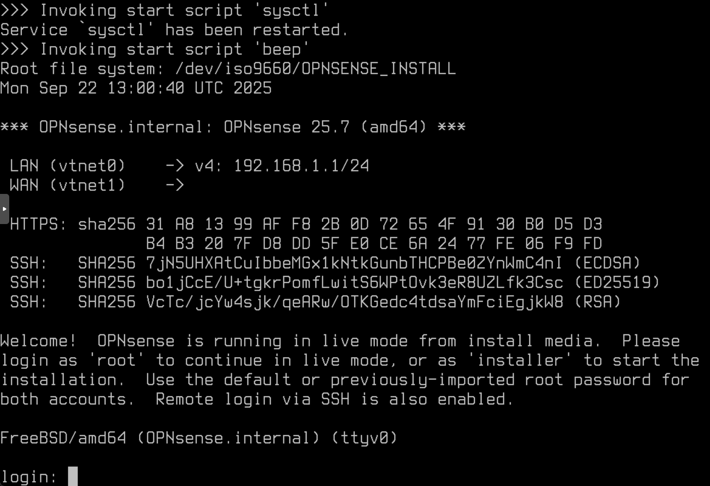 OPNsense CLI login screen in LiveCD